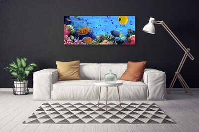 Canvas Wall art Coral reef nature multi