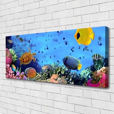 Canvas Wall art Coral reef nature multi