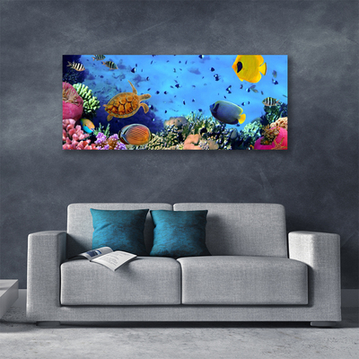 Canvas Wall art Coral reef nature multi