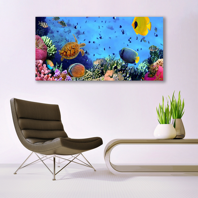 Canvas Wall art Coral reef nature multi