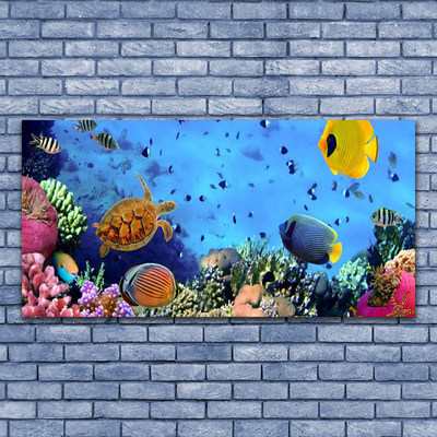 Canvas Wall art Coral reef nature multi