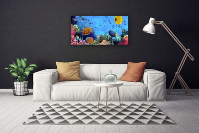 Canvas Wall art Coral reef nature multi