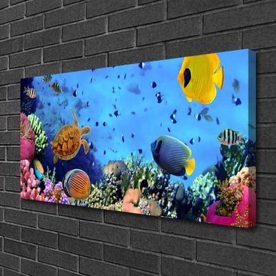 Canvas Wall art Coral reef nature multi