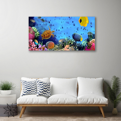 Canvas Wall art Coral reef nature multi