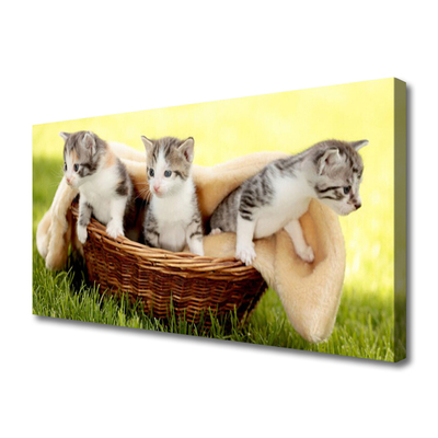 Canvas Wall art Cats animals grey white brown