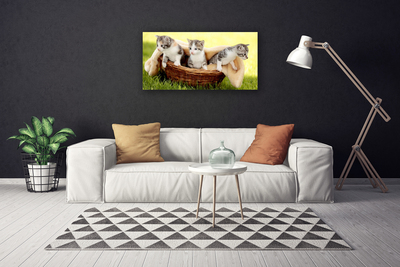 Canvas Wall art Cats animals grey white brown