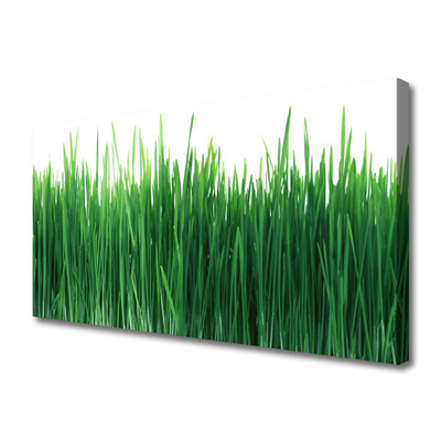 Canvas Wall art Weed nature green