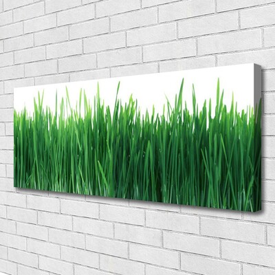 Canvas Wall art Weed nature green