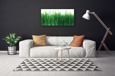 Canvas Wall art Weed nature green