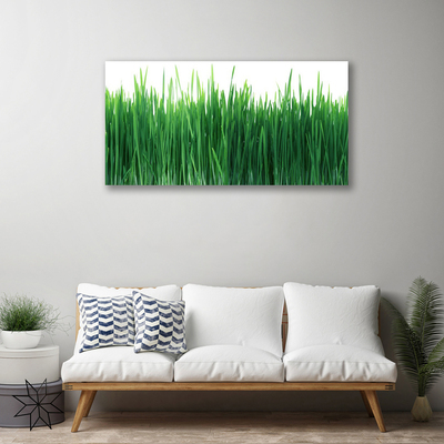 Canvas Wall art Weed nature green