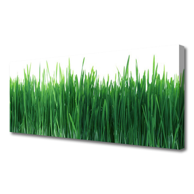 Canvas Wall art Weed nature green