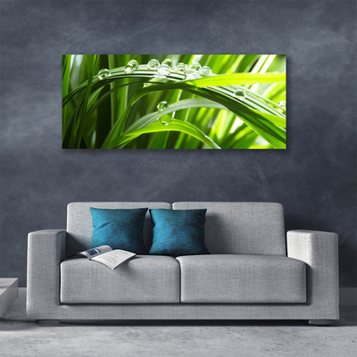 Canvas Wall art Grass water drops nature green