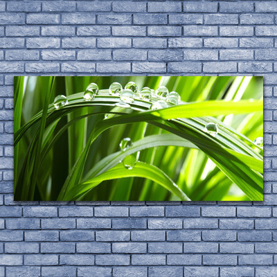 Canvas Wall art Grass water drops nature green