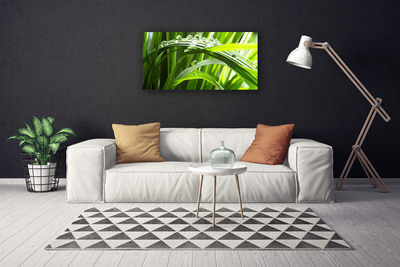 Canvas Wall art Grass water drops nature green