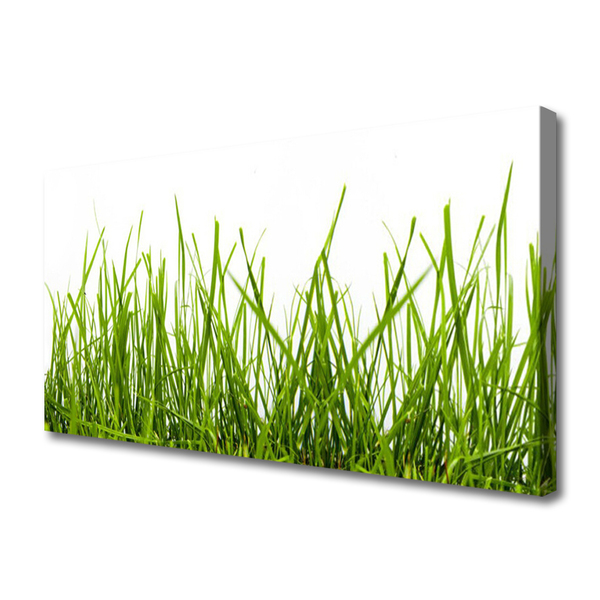 Canvas Wall art Grass nature green