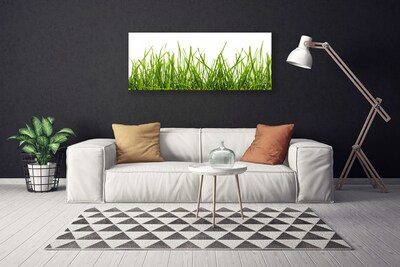 Canvas Wall art Grass nature green