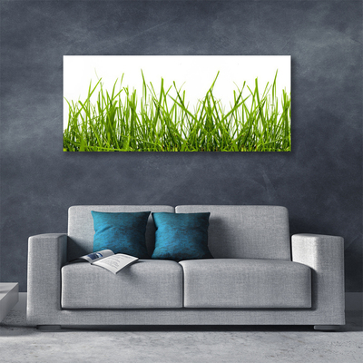 Canvas Wall art Grass nature green