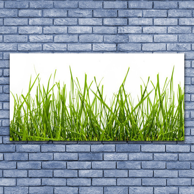 Canvas Wall art Grass nature green