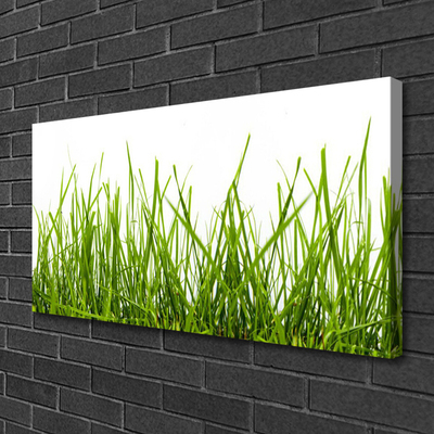 Canvas Wall art Grass nature green