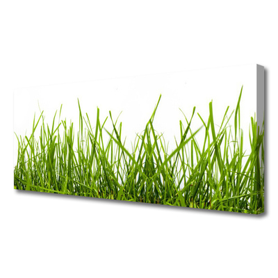 Canvas Wall art Grass nature green