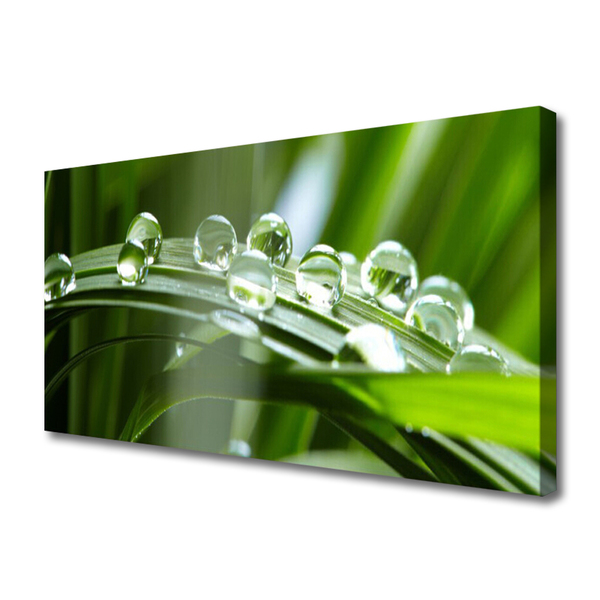 Canvas Wall art Grass dew drops floral green