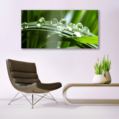 Canvas Wall art Grass dew drops floral green