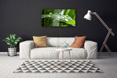 Canvas Wall art Grass dew drops floral green