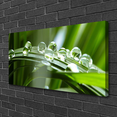 Canvas Wall art Grass dew drops floral green