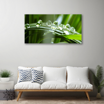 Canvas Wall art Grass dew drops floral green