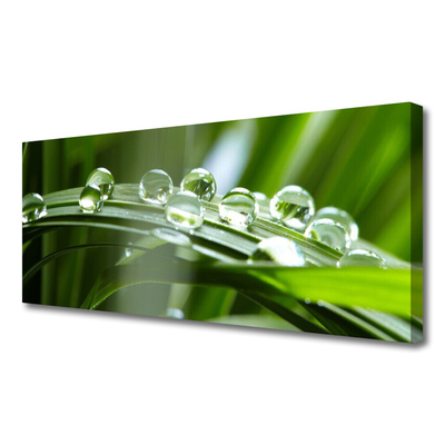 Canvas Wall art Grass dew drops floral green