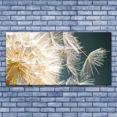 Canvas Wall art Dandelion floral white