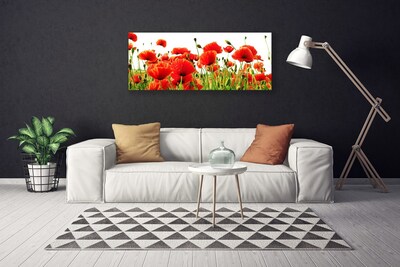 Canvas Wall art Poppies nature red green