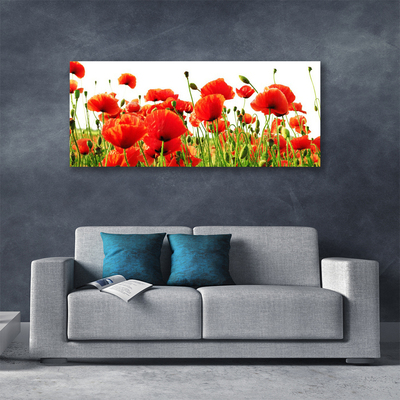 Canvas Wall art Poppies nature red green