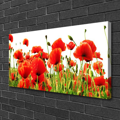 Canvas Wall art Poppies nature red green