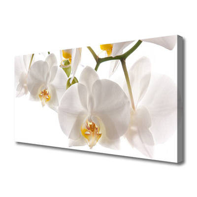 Canvas Wall art Flowers floral white