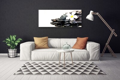 Canvas Wall art Flower stones art white black