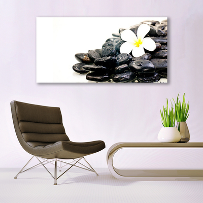 Canvas Wall art Flower stones art white black