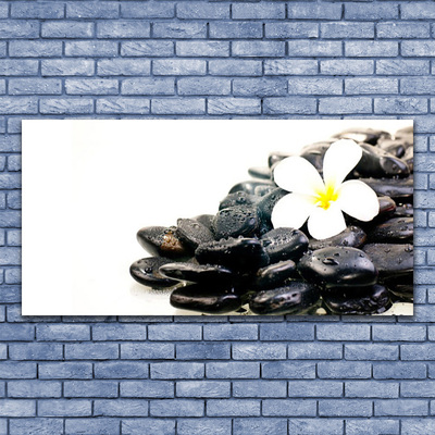 Canvas Wall art Flower stones art white black