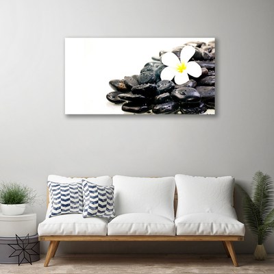 Canvas Wall art Flower stones art white black