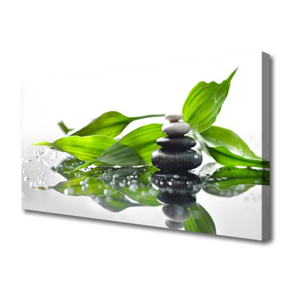 Canvas Wall art Stones leaves art black green