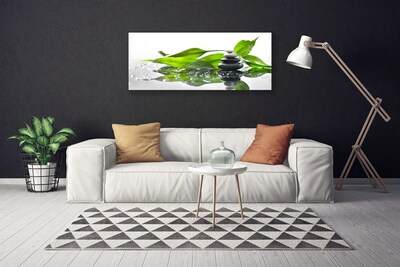 Canvas Wall art Stones leaves art black green