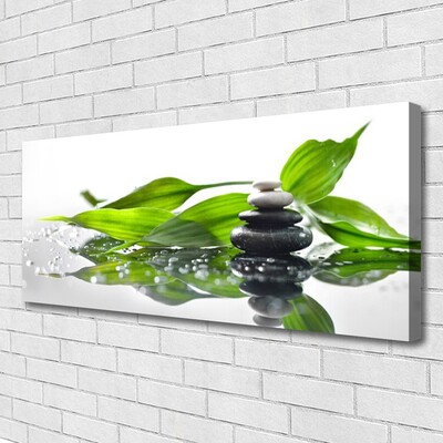 Canvas Wall art Stones leaves art black green