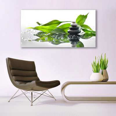 Canvas Wall art Stones leaves art black green