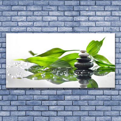 Canvas Wall art Stones leaves art black green