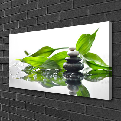 Canvas Wall art Stones leaves art black green