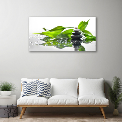 Canvas Wall art Stones leaves art black green