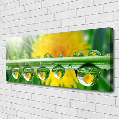 Canvas Wall art Stem dew drops floral green