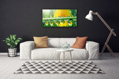 Canvas Wall art Stem dew drops floral green