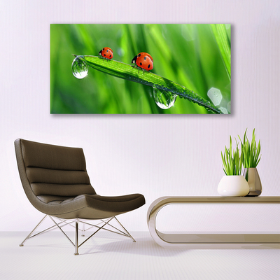 Canvas Wall art Ladybird beetle floral green red black