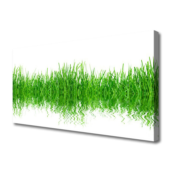 Canvas Wall art Grass nature green